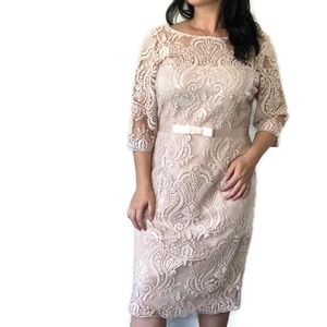Emma Street Light Pink Lace Midi Dress Size 14